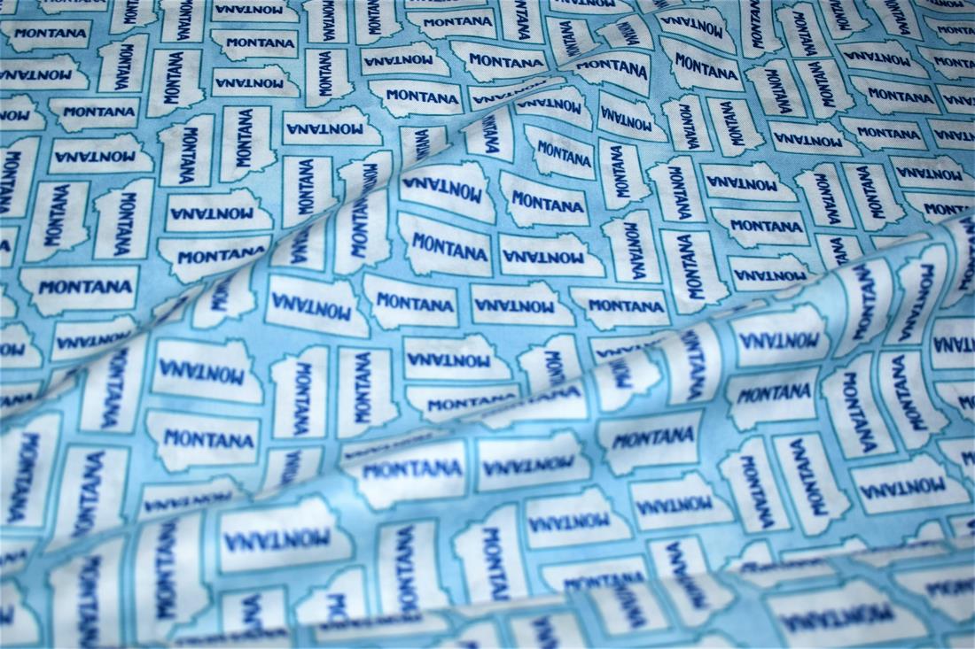 Sky Blue Printed 100% Cotton Fabric