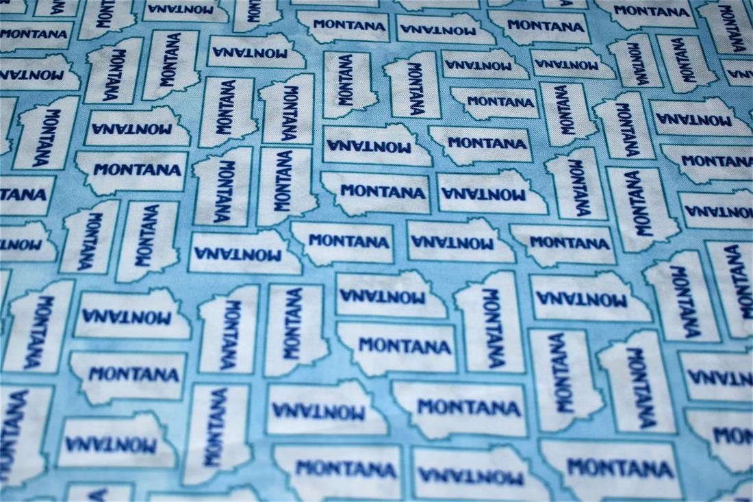 Sky Blue Printed 100% Cotton Fabric