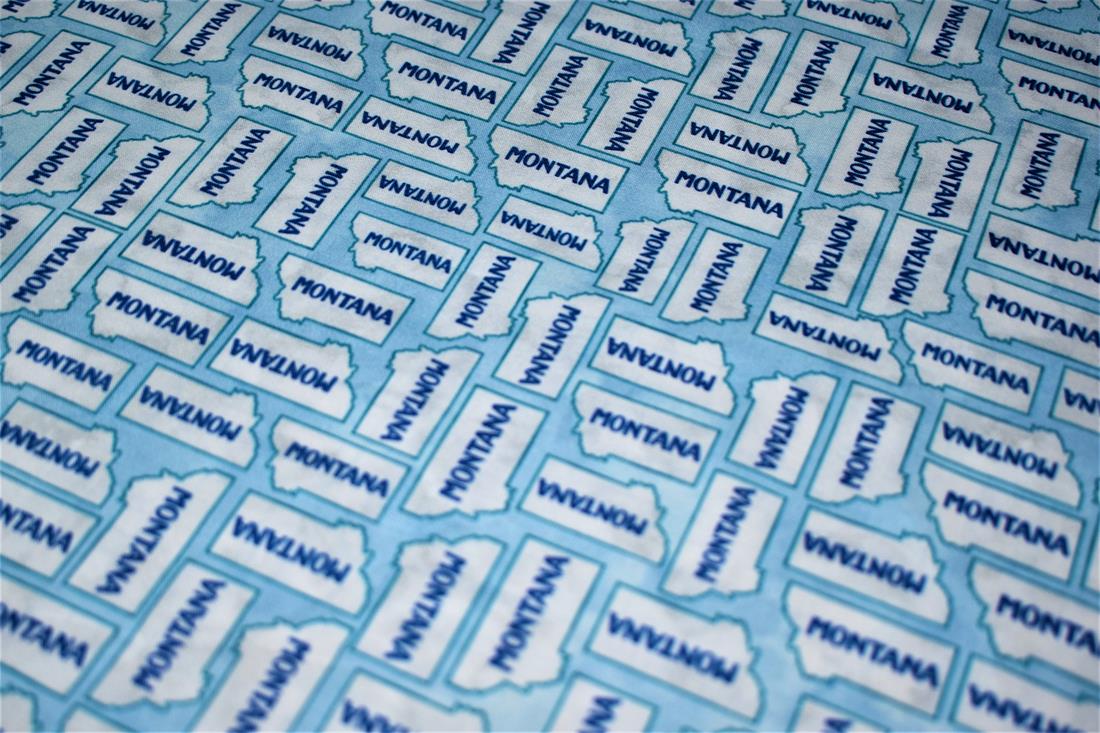Sky Blue Printed 100% Cotton Fabric