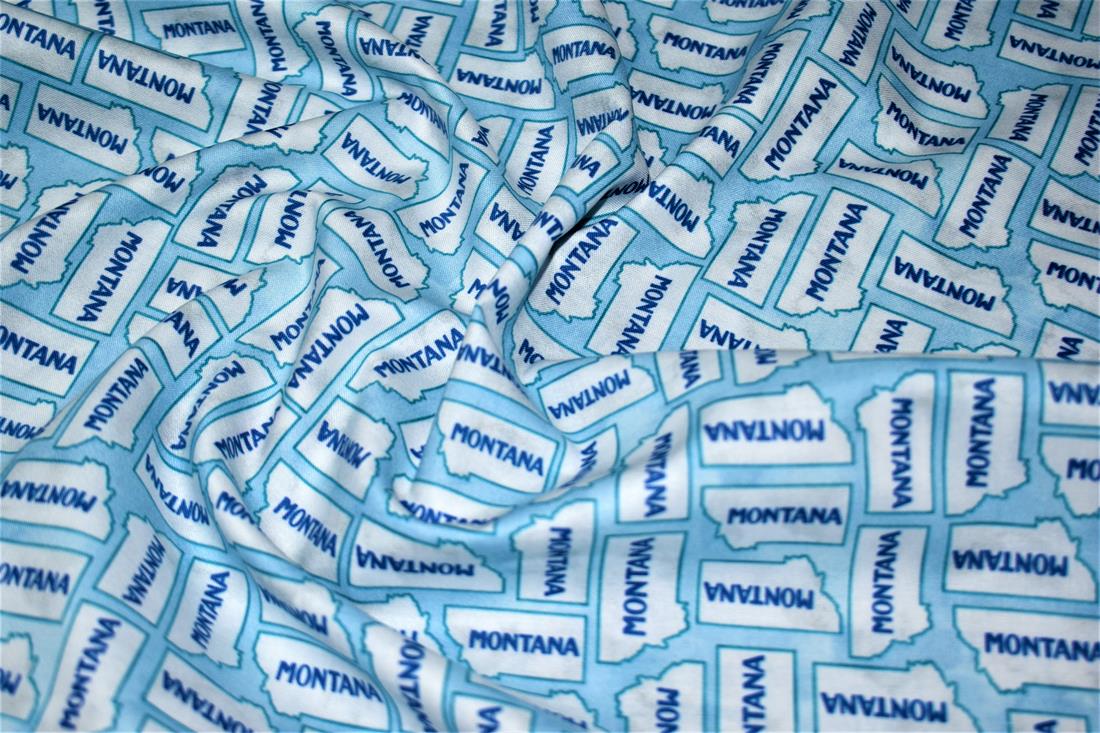 Sky Blue Printed 100% Cotton Fabric