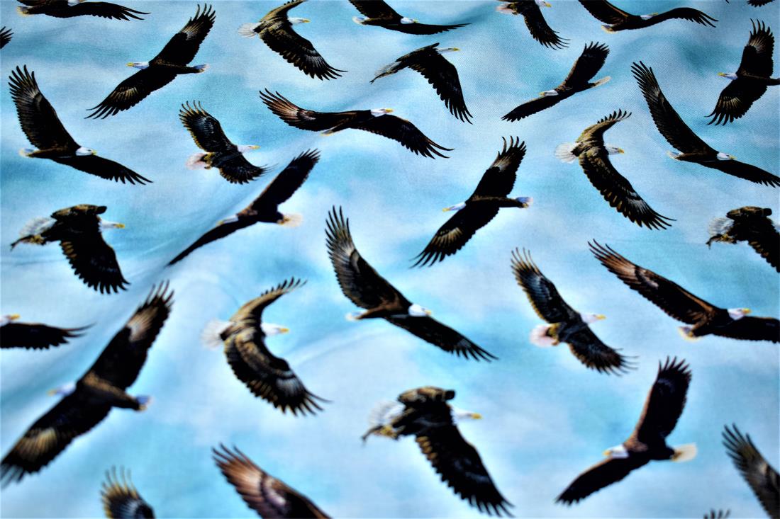 Sky Blue Printed 100% Cotton Fabric