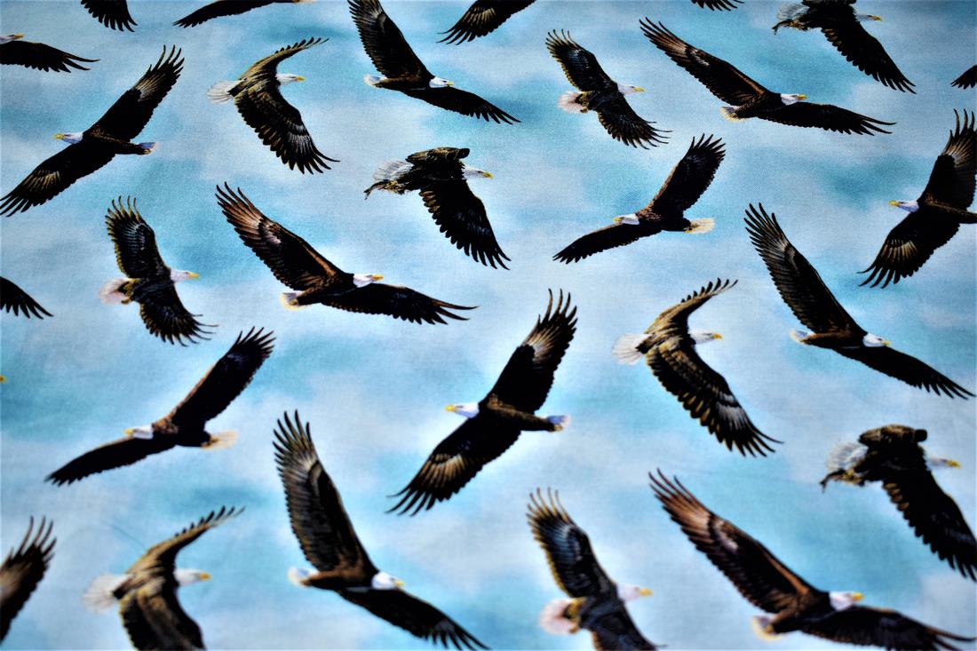 Sky Blue Printed 100% Cotton Fabric