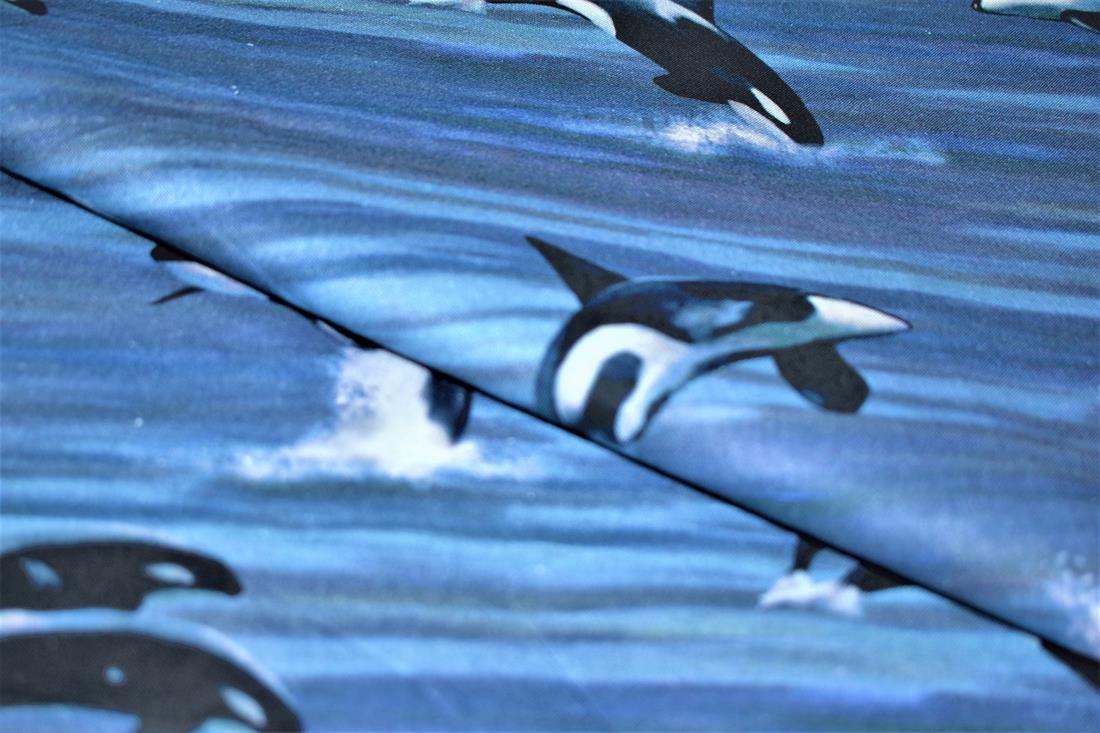 Navy Printed 100% Cotton Fabric