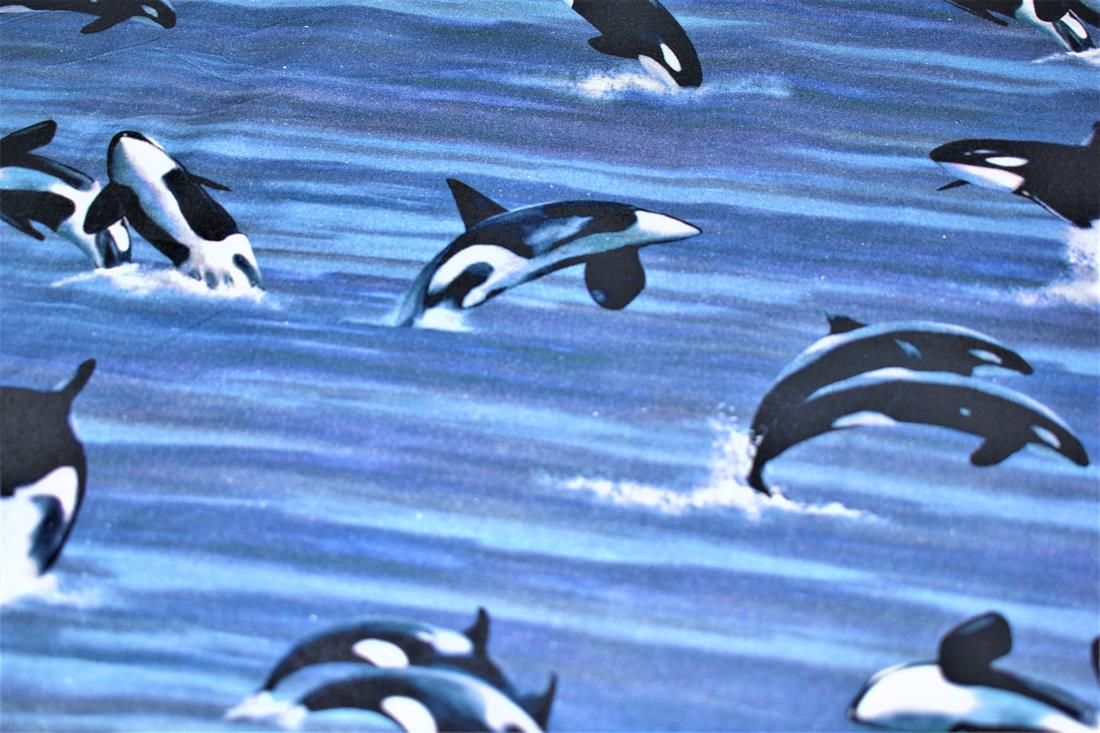 Navy Printed 100% Cotton Fabric