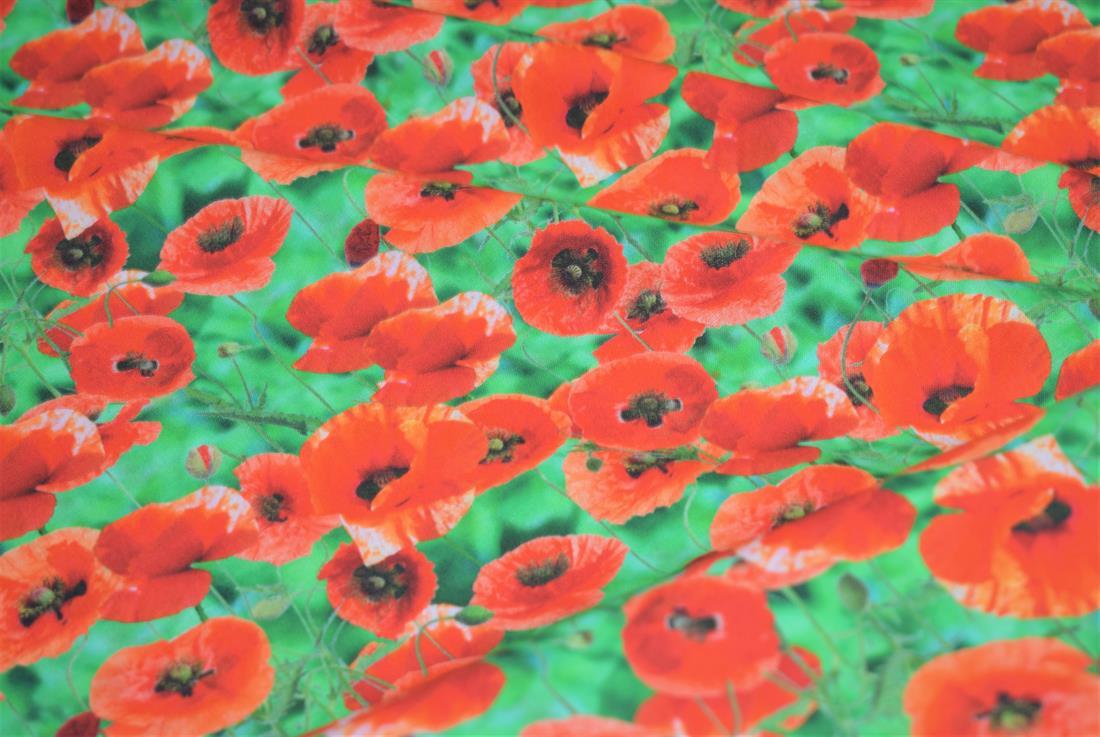 Red Little Johnny Poppy Leaves Digital 100% Cotton Fabric