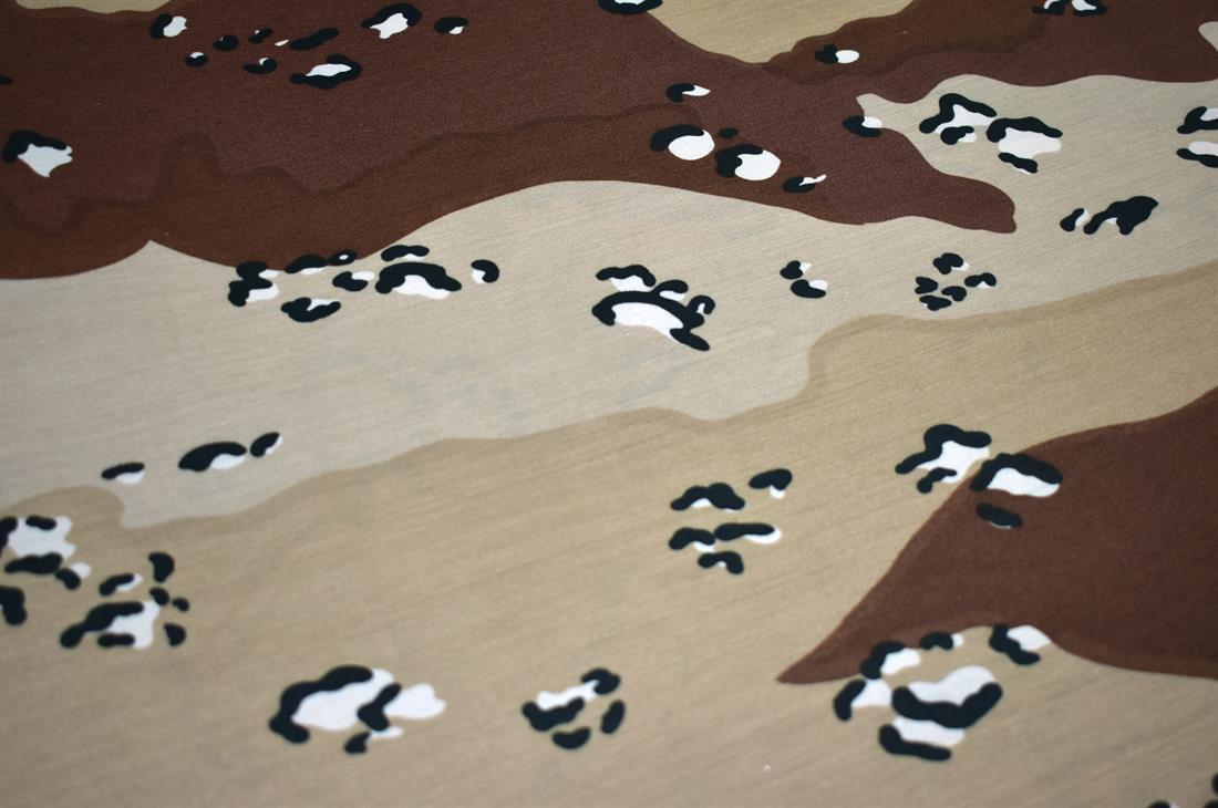 Beige & Brown Printed 100% Cotton Poplin Fabric