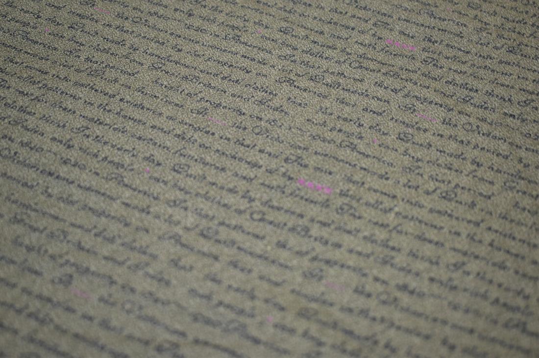 Printed Poplin Cotton Fabric