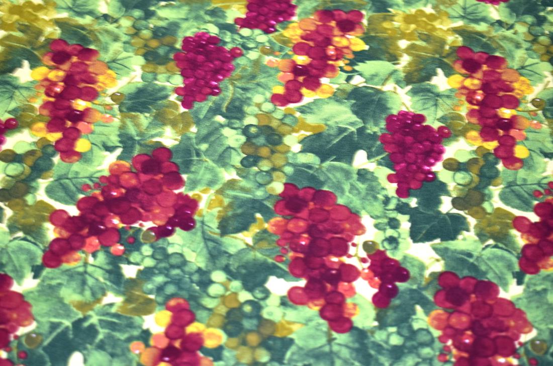 Green & Wine Harvest Fruit Printed Crafty Cottons Poplin