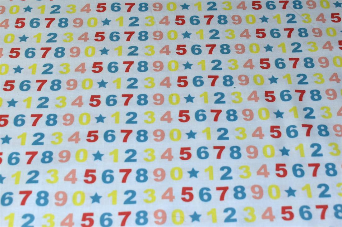 Light Blue Numbers Printed Crafty Cottons Poplin