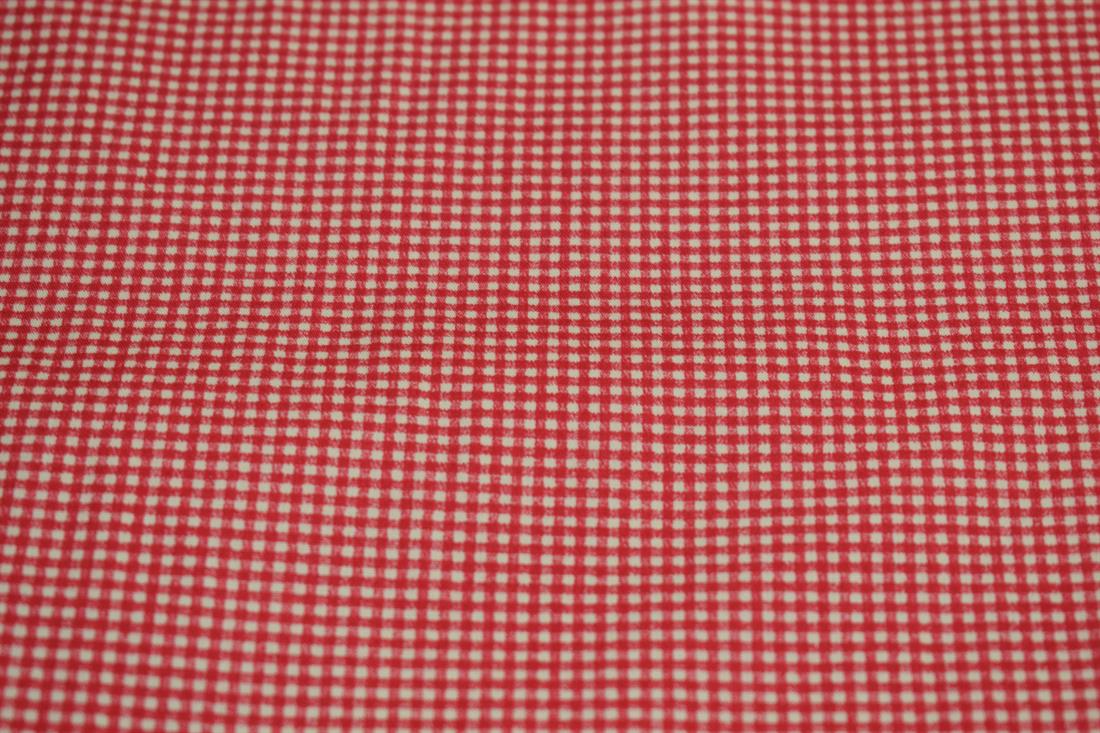 Small Check Print Poplin