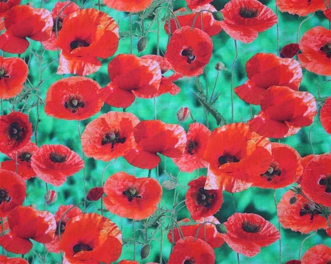 Green & Red Little Johnny Poppy Leaves Digital Cotton Printed 100%…
