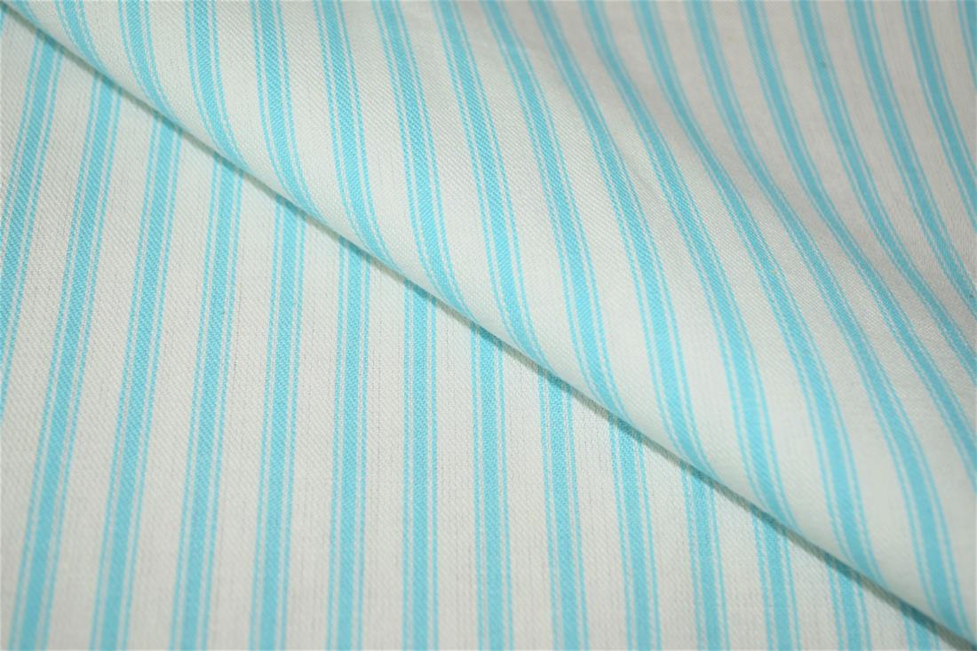 Striped Canvas Printed Fabric