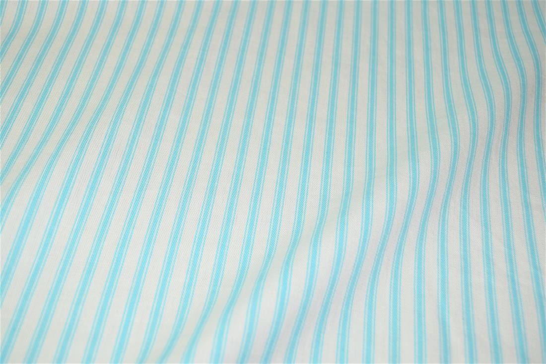 Striped Canvas Printed Fabric