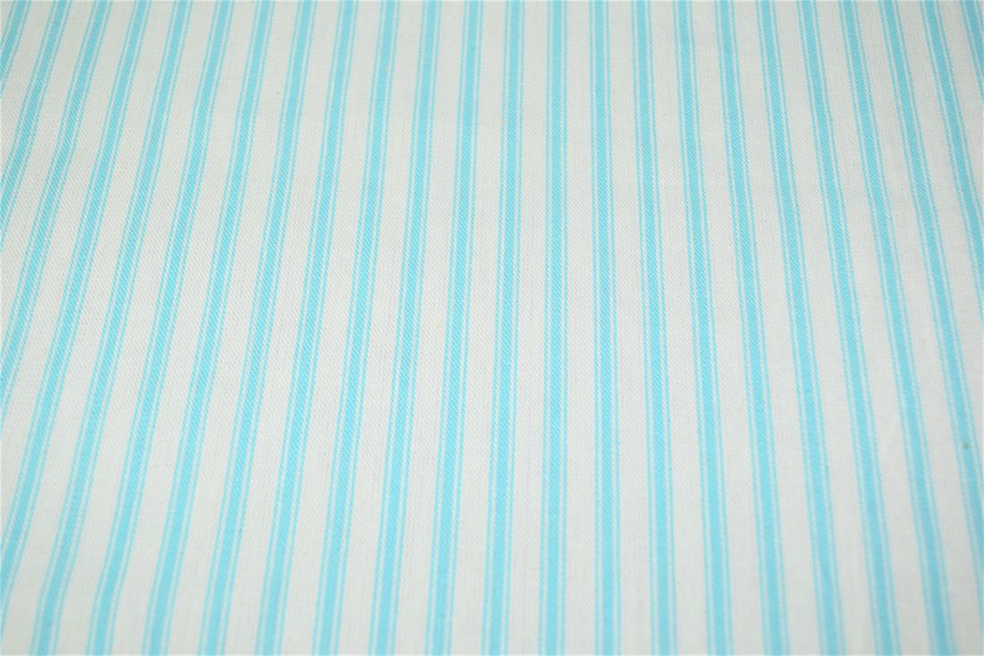 Striped Canvas Printed Fabric