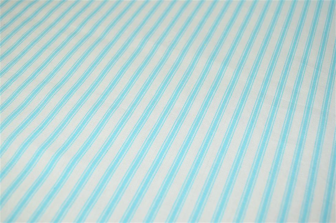 Striped Canvas Printed Fabric