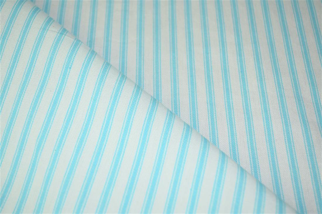 Striped Canvas Printed Fabric