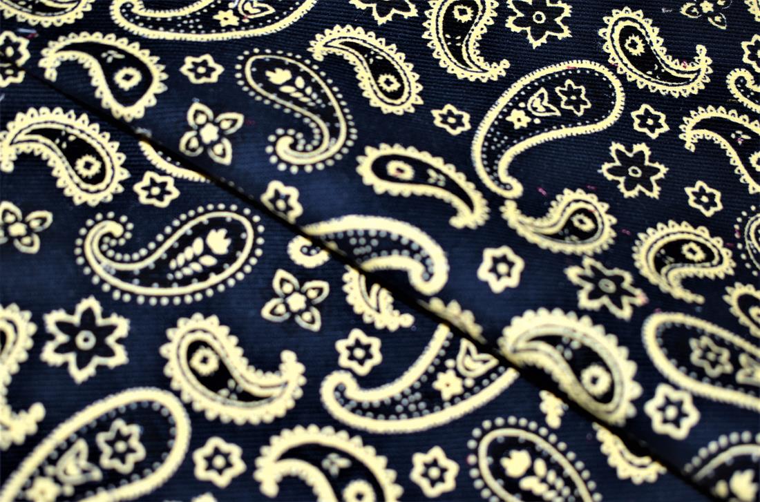 Paisley Cord Printed Corduroy Fabric