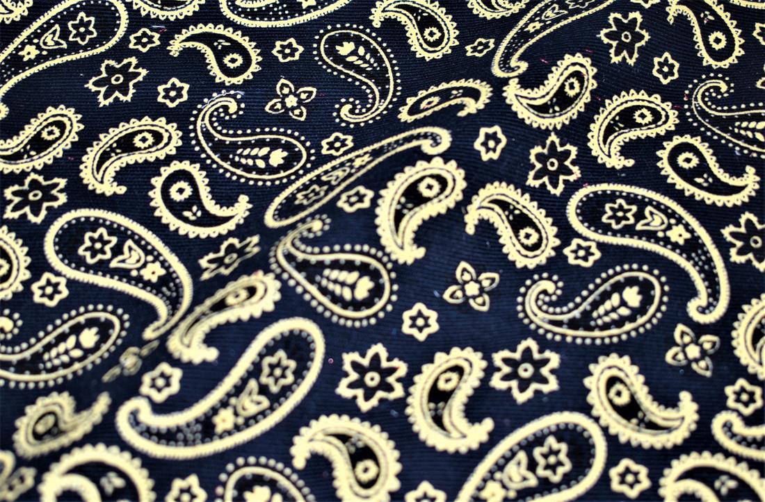 Paisley Cord Printed Corduroy Fabric