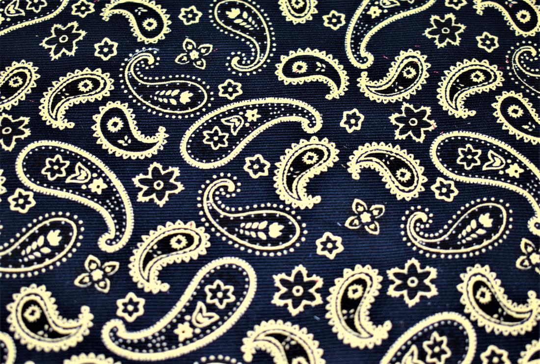 Paisley Cord Printed Corduroy Fabric