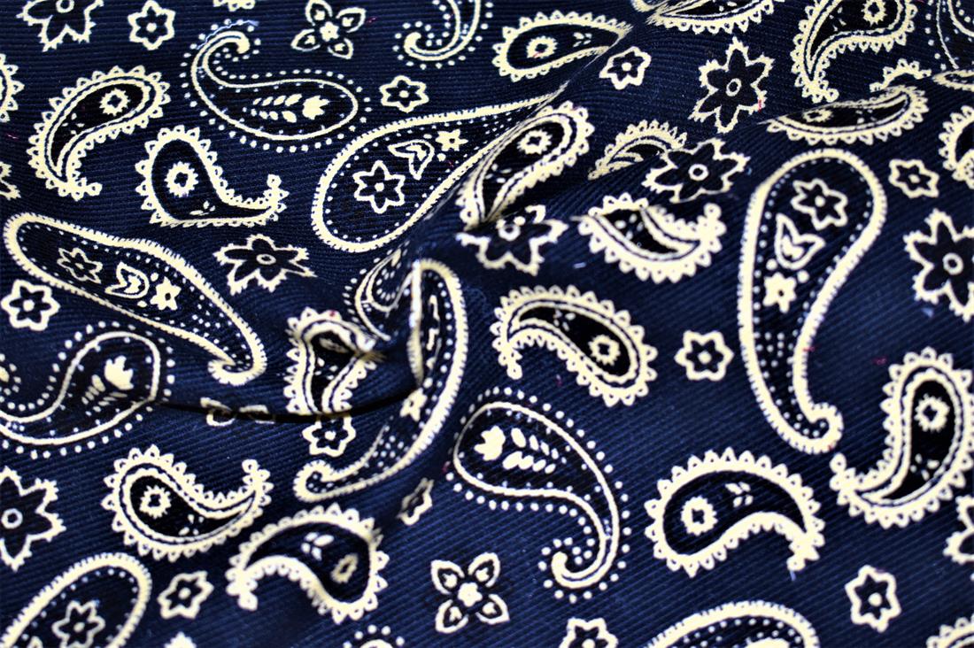 Paisley Cord Printed Corduroy Fabric