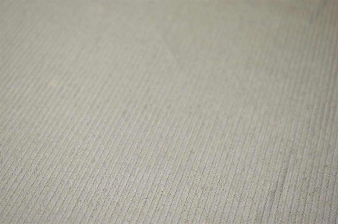 Beige Corduroy Plain Fabric