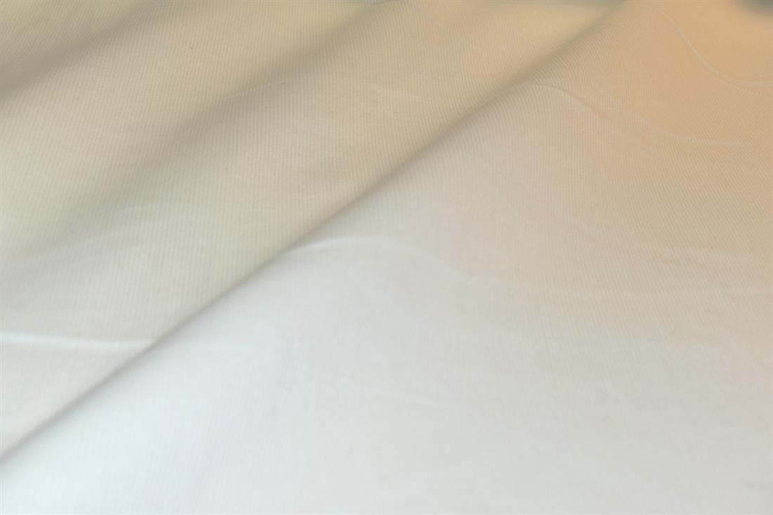 Ivory Needle Corduroy