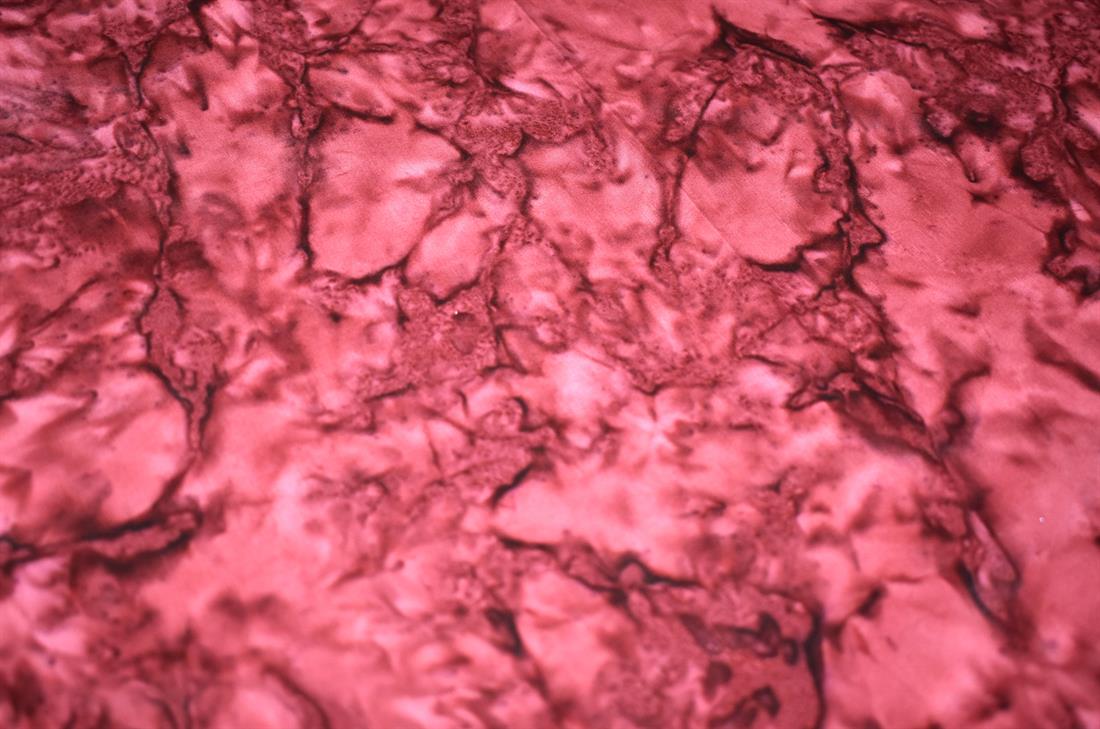 Maroon Batik