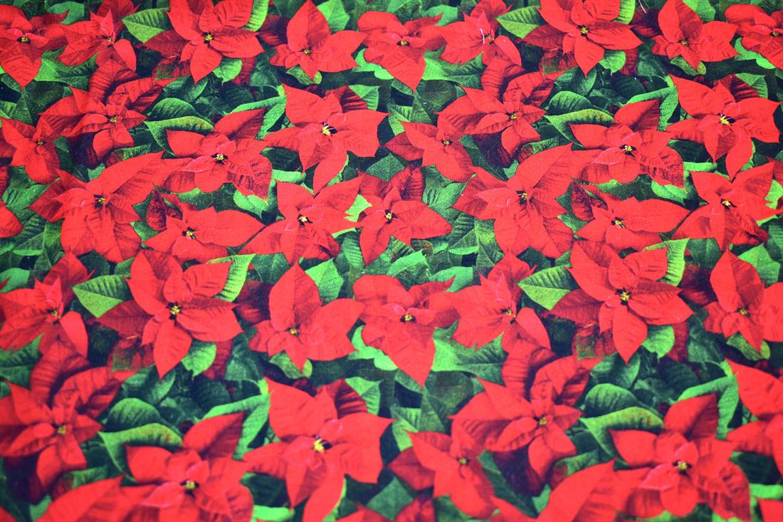 Red Single Fat Quarter Printed 100% Cotton Fabric