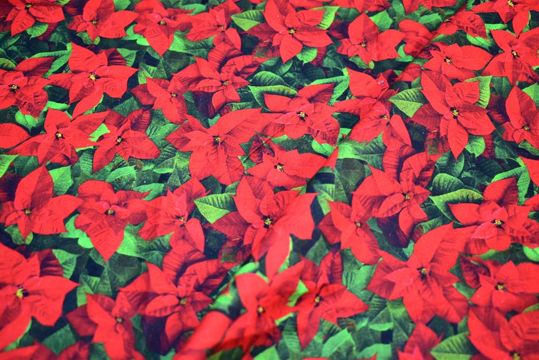 Red Single Fat Quarter Printed 100% Cotton Fabric