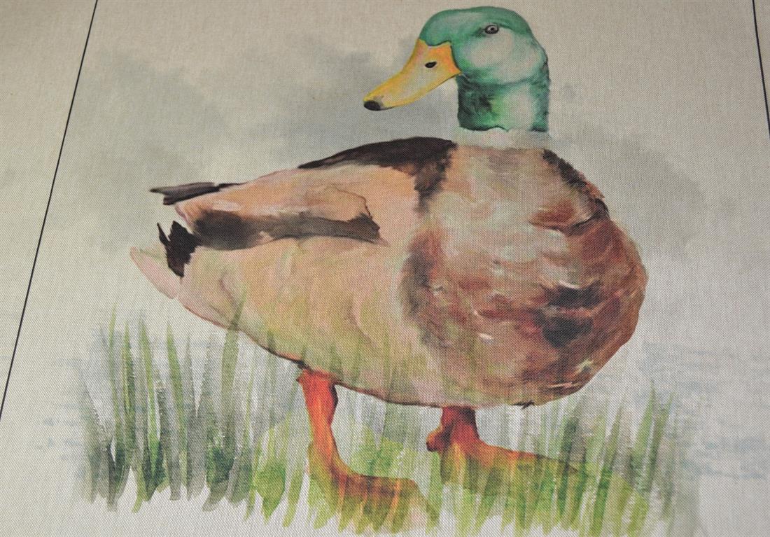 Natural Duck Printed Digital Canvas Fabric