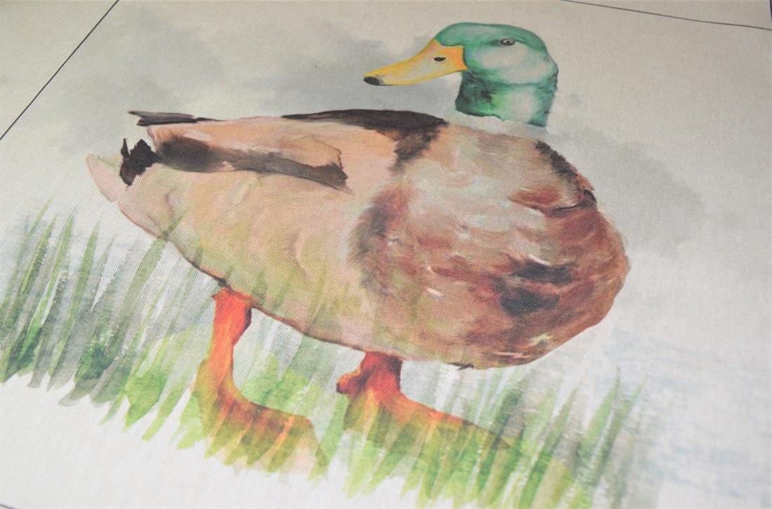 Natural Duck Printed Digital Canvas Fabric