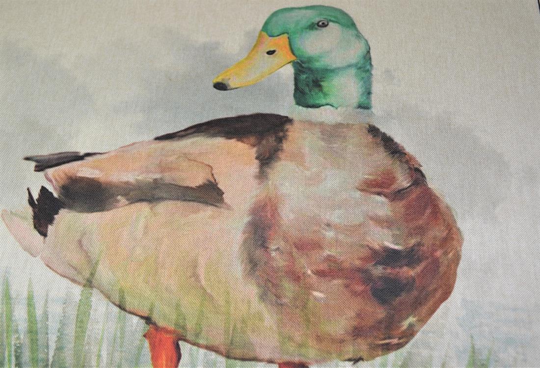 Natural Duck Printed Digital Canvas Fabric