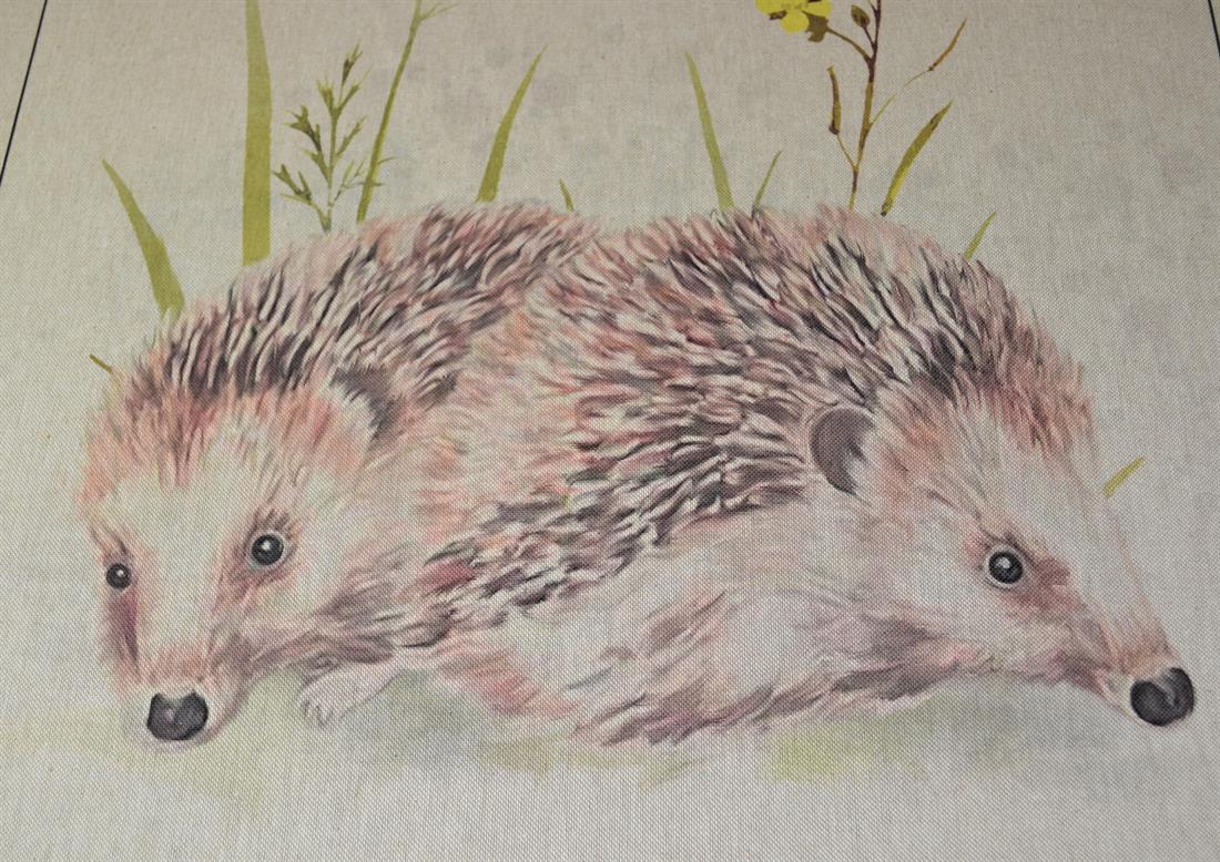 Natural Hedgehog Print Canvas Single Fat Quarter