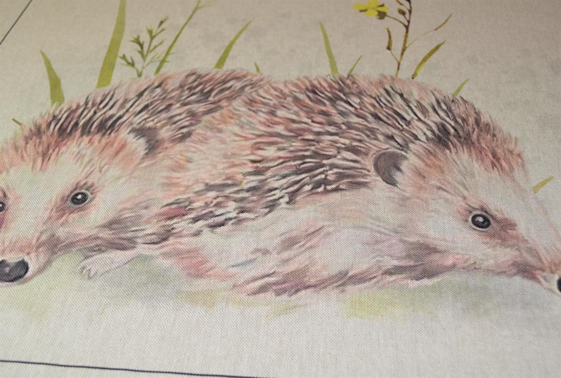 Natural Hedgehog Print Canvas Single Fat Quarter