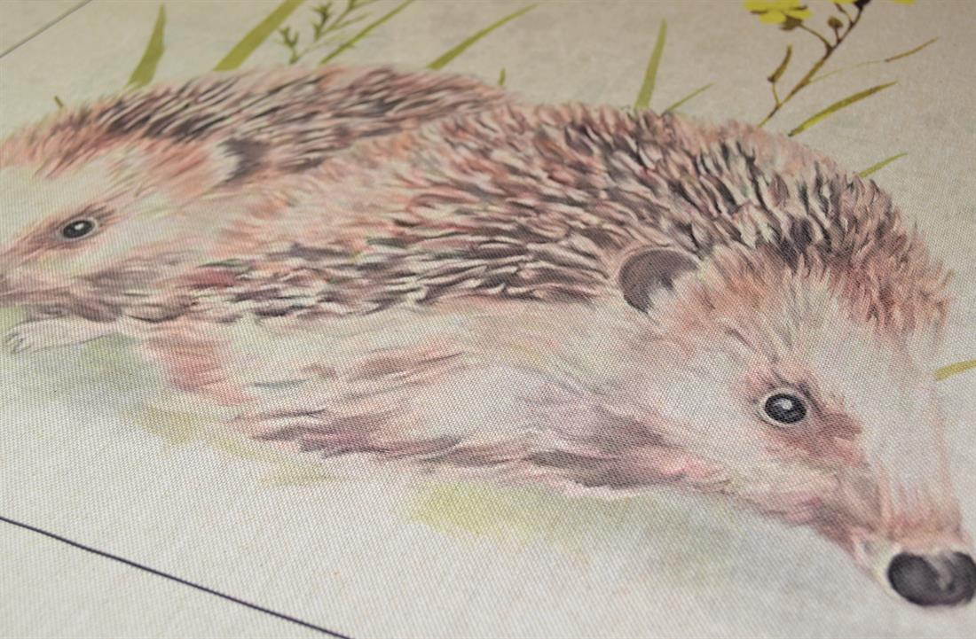 Natural Hedgehog Print Canvas Single Fat Quarter