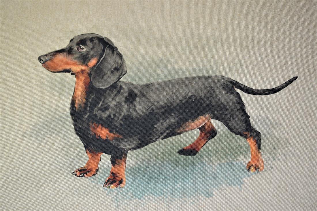 Natural Dachshund Panel Printed Digital Canvas Fabric