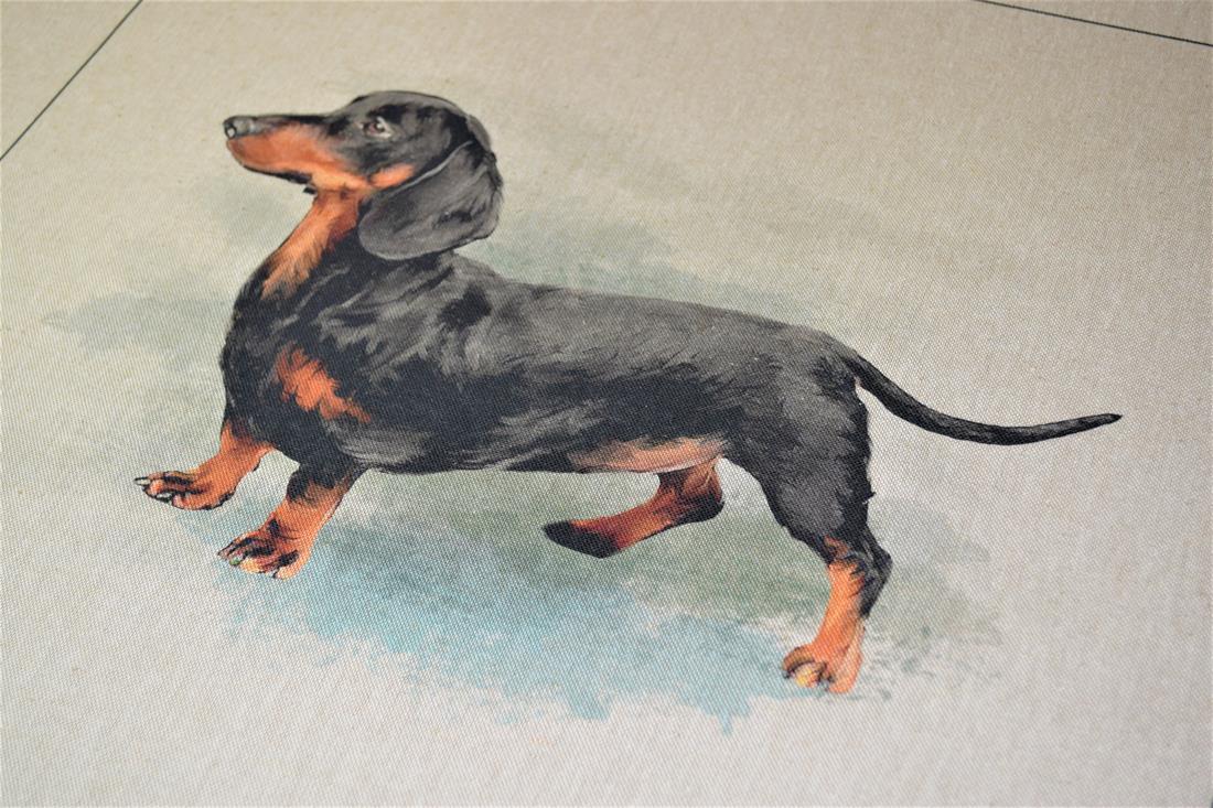 Natural Dachshund Panel Printed Digital Canvas Fabric
