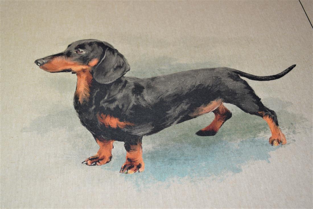 Natural Dachshund Panel Printed Digital Canvas Fabric
