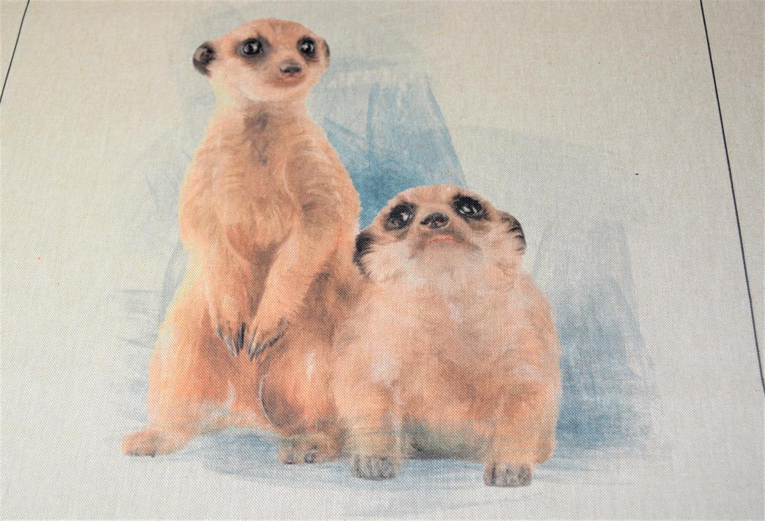 Meerkat Panel -Printed Digital Canvas Fabric