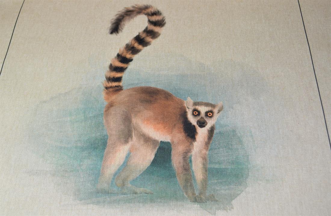Lemur Panel Printed Digital Canvas Fabric
