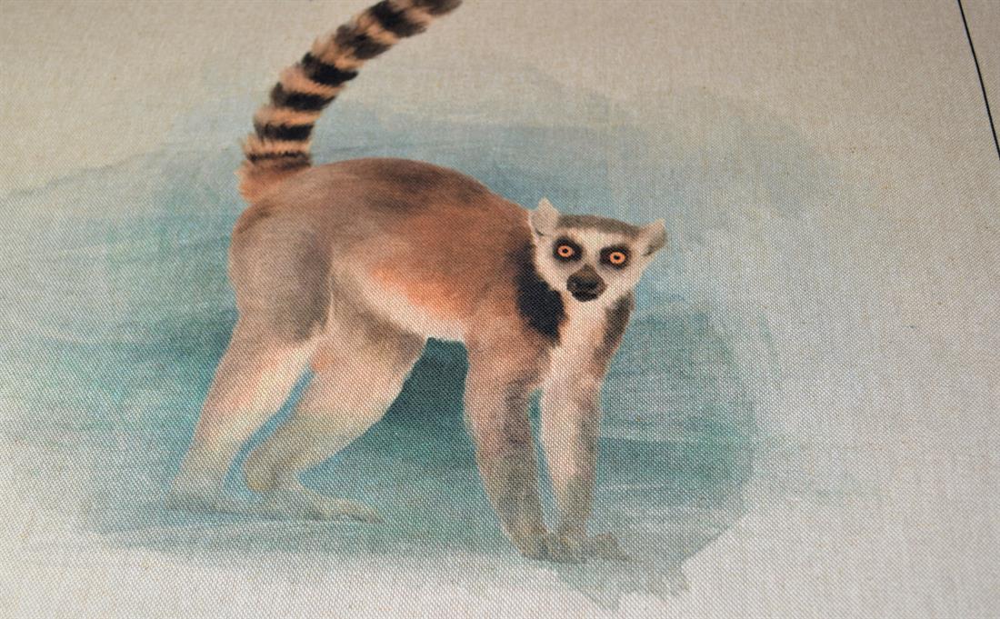 Lemur Panel Printed Digital Canvas Fabric