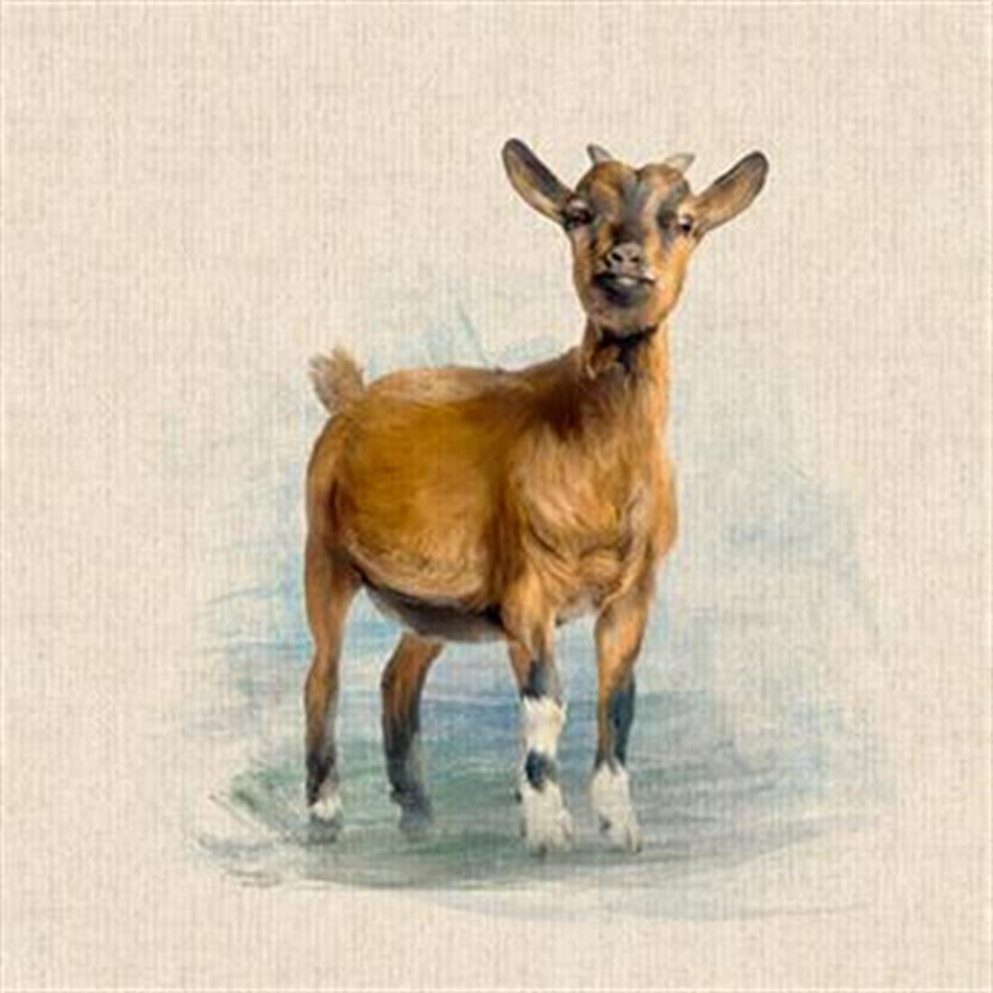 Goat Panel Printed Digital Canvas Fabric