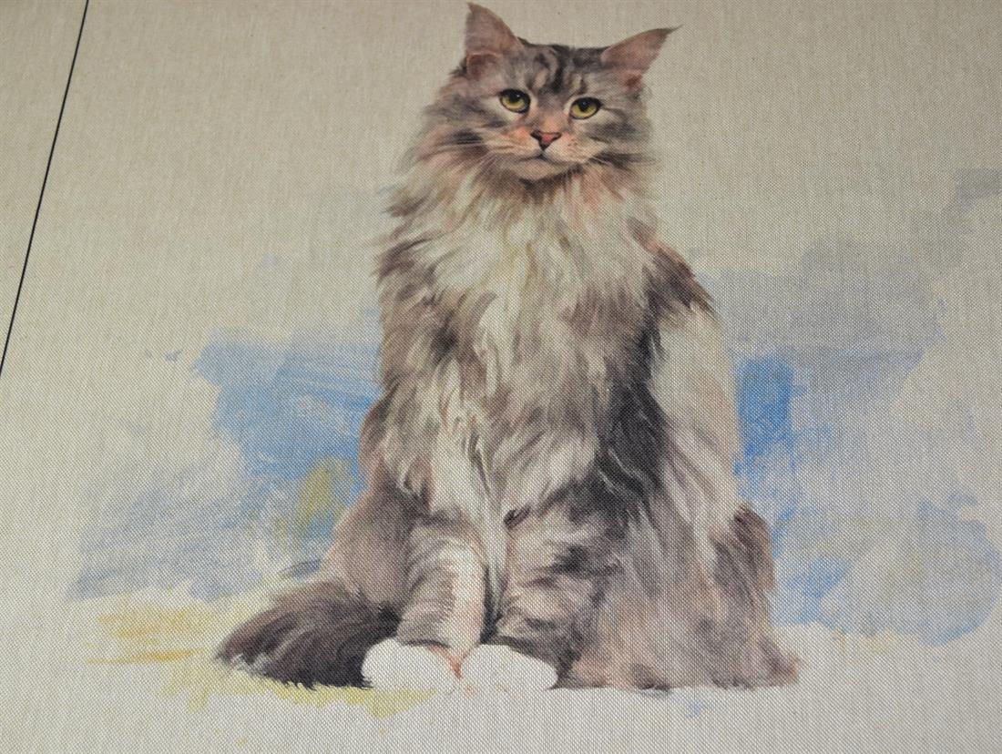 Cat Panels