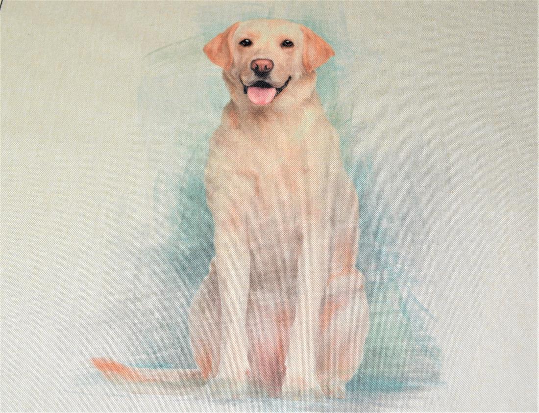 Labrador Panel Printed Digital Canvas Fabric