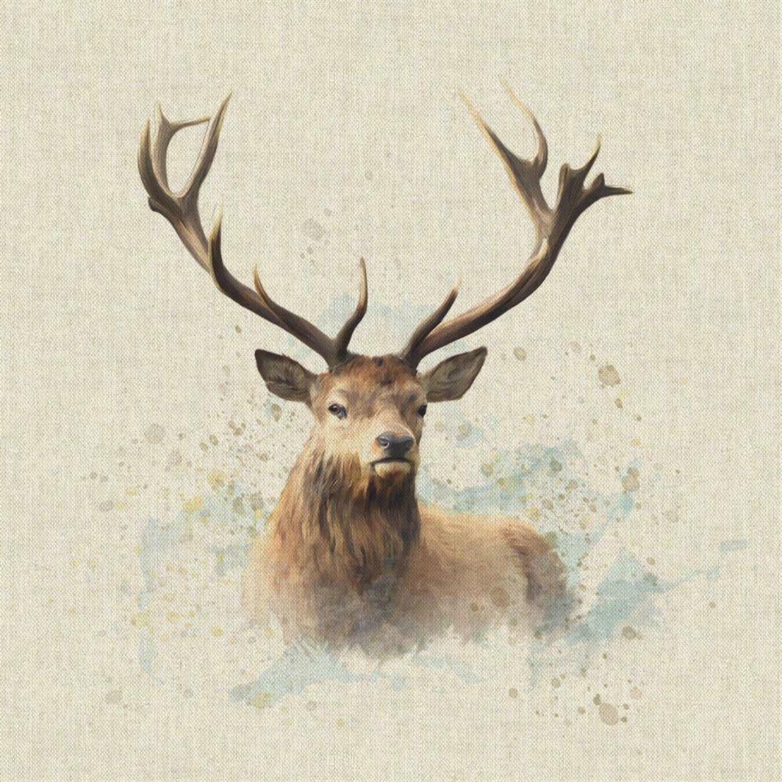 Printed Digital Canvas Fabric