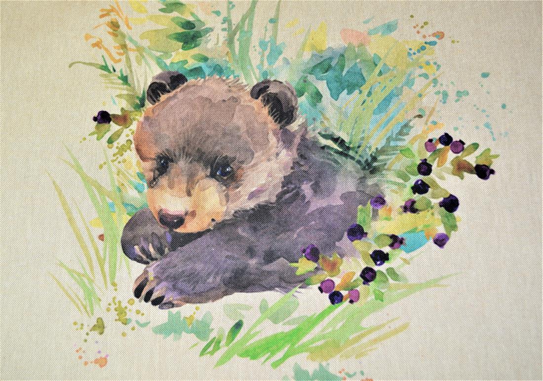 Printed Digital Canvas Fabric