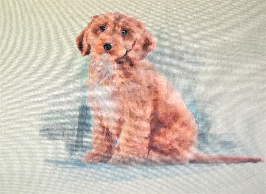 Labradoole Panel Printed Digital Canvas Fabric