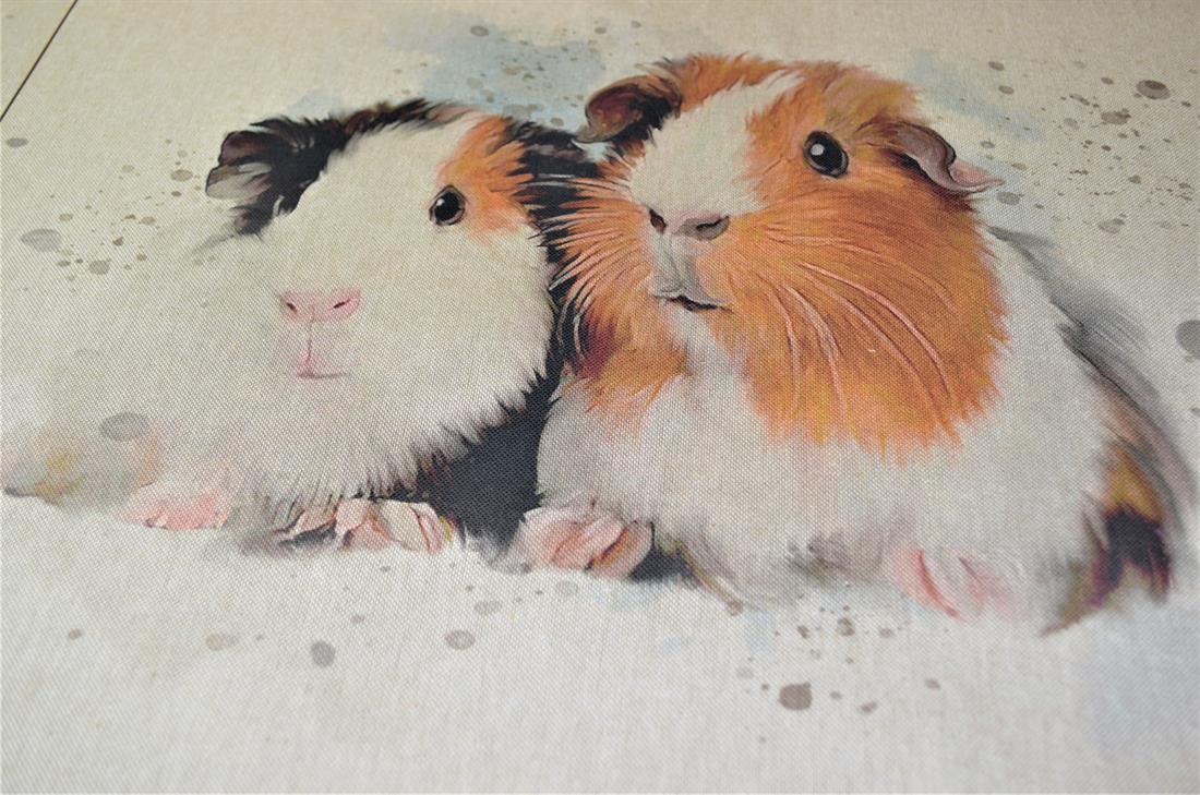 Guinea Pig Panels Printed Digital Canvas Fabric