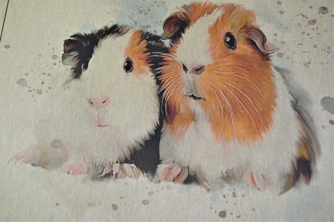 Guinea Pig Panels Printed Digital Canvas Fabric