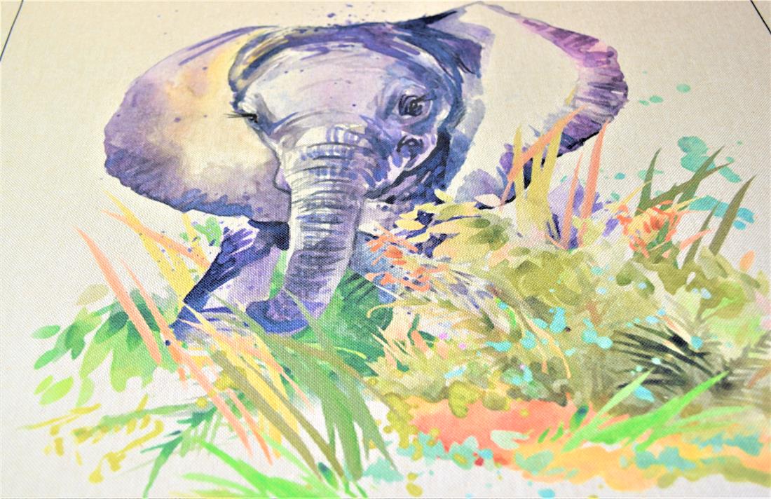 Printed Digital Canvas Fabric